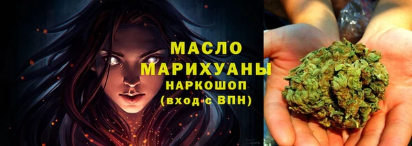 соль ск Ельня