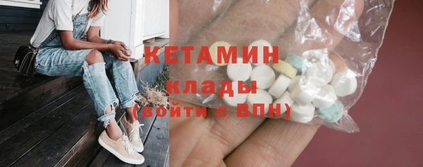 соль ск Ельня