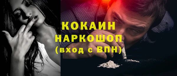 соль ск Ельня