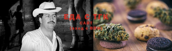 соль ск Ельня