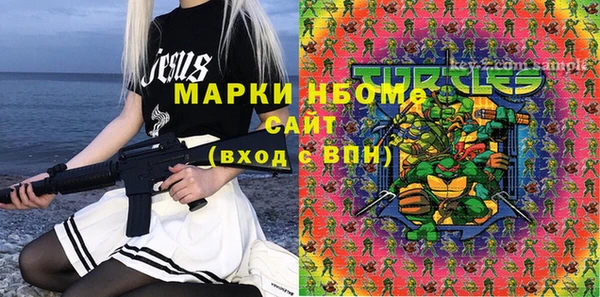 соль ск Ельня