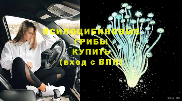 синтетический гашиш Елизово
