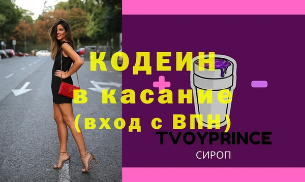 соль ск Ельня